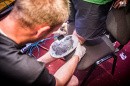 CLOSING & AIR BRUSH TATTOO - Totální výprodej barů před letní pauzou!
